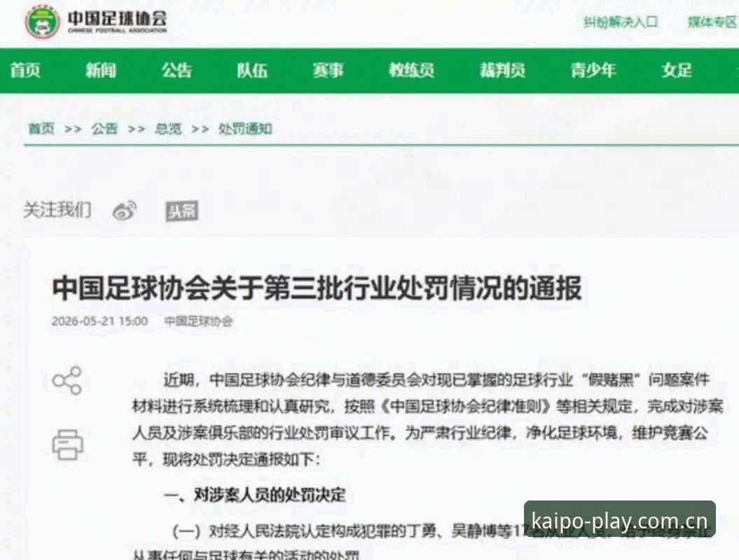 中国足协第三批禁足名单深度对比：终身禁赛vs五年禁赛，哪些行为最致命？